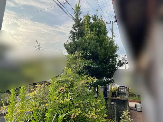 業界歴10年◎月間10件以上の作業確実、女性スタッフ同行可能！サービスの画像