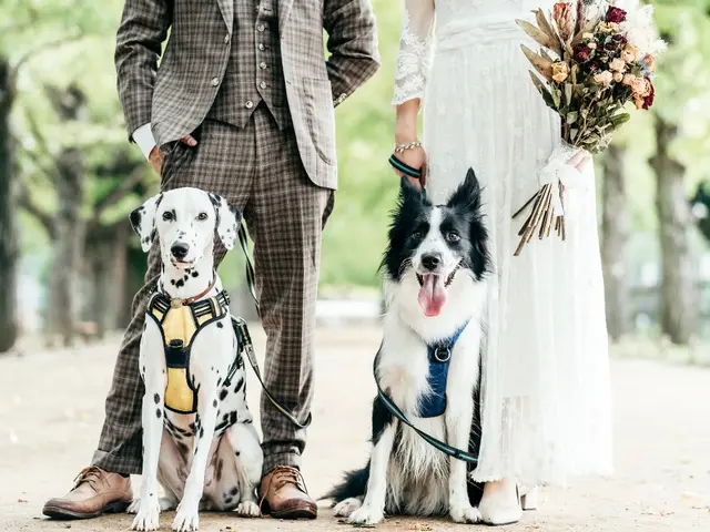 【愛おしい瞬間を形に】全データ編集してお渡し！ペットも一緒に♪