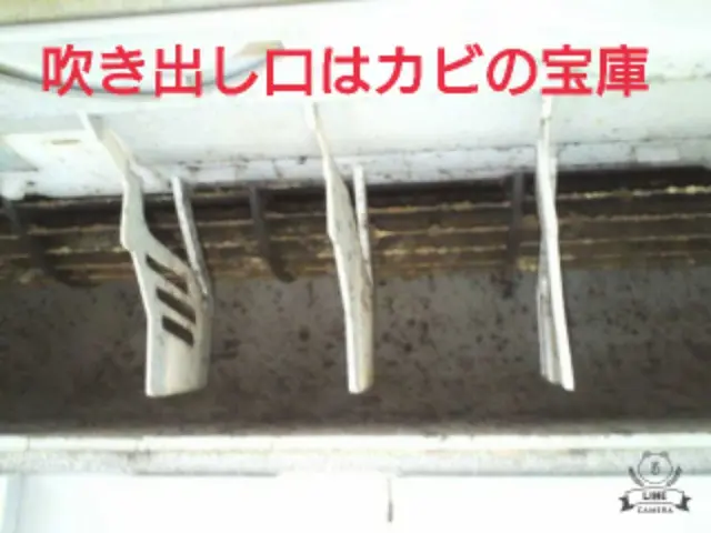 【奈良県密着】11/11〜予約可。くらしのマーケットだけの特別価格です！サービスの画像