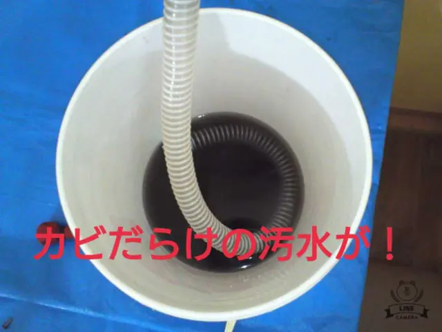 【奈良県密着】11/11〜予約可。くらしのマーケットだけの特別価格です！サービスの画像