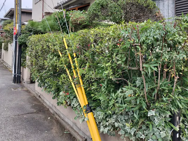 【祝☆新規出店】話しやすい人柄◉損害保険加入済み☆接客業出身★非喫煙者が対応◉サービスの画像