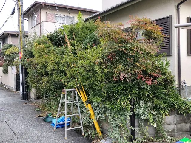 【祝☆新規出店】話しやすい人柄◉損害保険加入済み☆接客業出身★非喫煙者が対応◉サービスの画像