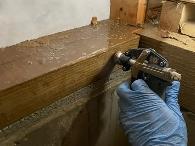 シロアリ駆除、5年保証！予防消毒☆クレカ☆電子マネー☆PayPay対応サービスの画像