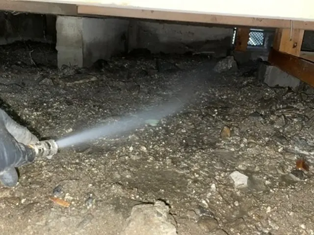 シロアリ駆除、5年保証！予防消毒☆クレカ☆電子マネー☆PayPay対応サービスの画像