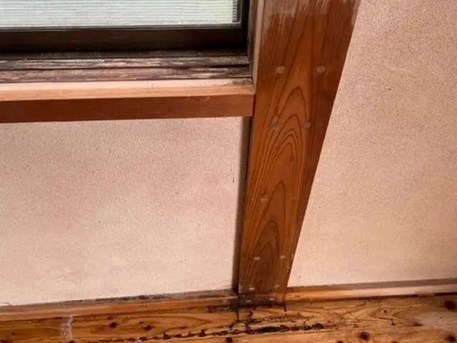 シロアリ駆除、5年保証！予防消毒☆クレカ☆電子マネー☆PayPay対応サービスの画像