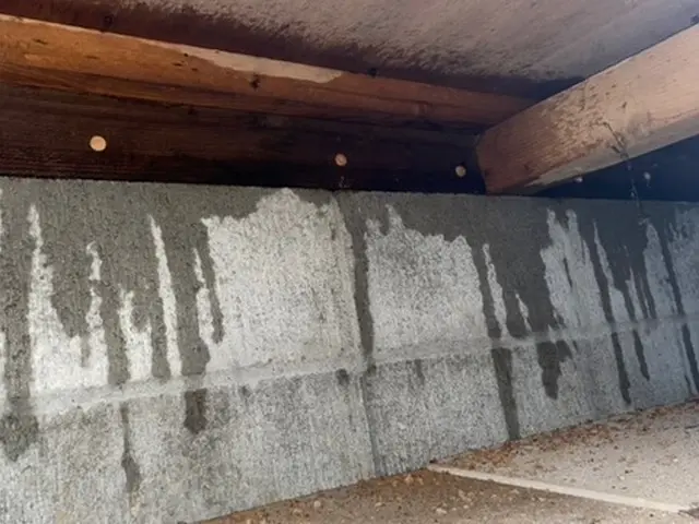 シロアリ駆除、5年保証！予防消毒☆クレカ☆電子マネー☆PayPay対応サービスの画像