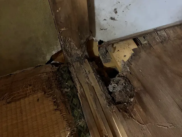 プロの技術でご満足いただけるように心を込めて作業いたしますサービスの画像