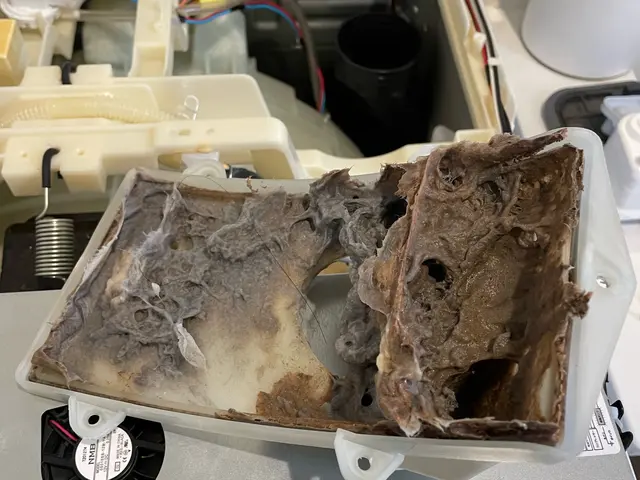 【10月末までセール中】3万→1.8万◆まるで新品♬乾燥不良臭いの原因徹底改善◉サービスの画像