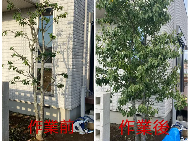 【木漏れ日降り注ぐお庭造り･:*+】お庭の美容師が伺います♪サービスの画像