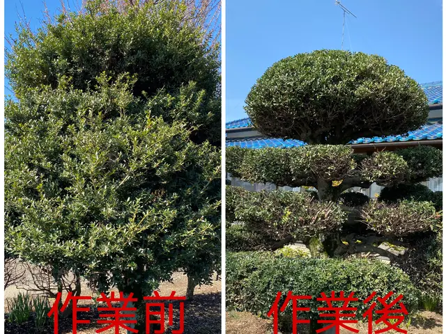 【木漏れ日降り注ぐお庭造り･:*+】お庭の美容師が伺います♪サービスの画像