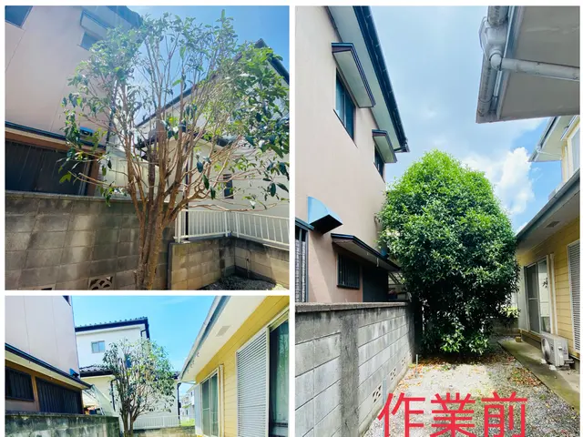 【木漏れ日降り注ぐお庭造り･:*+】お庭の美容師が伺います♪サービスの画像