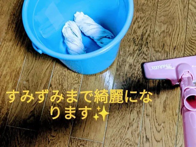 【非喫煙者が対応】徹底的な掃除◉損害保険加入済み★お手入れのアドバイスまで☆サービスの画像