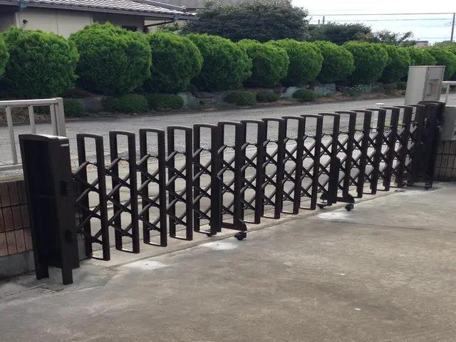 カーゲート、伸縮門扉、両開き、親子サービスの画像