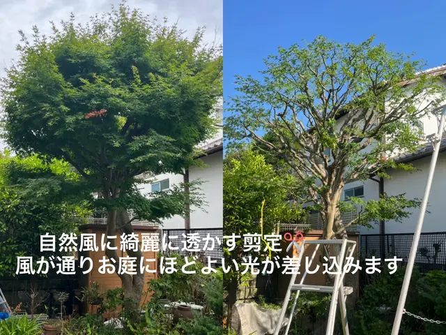 ご希望をお聞かせ下さい♪心を込めて丁寧に作業します！長年の経験で安心安全★サービスの画像