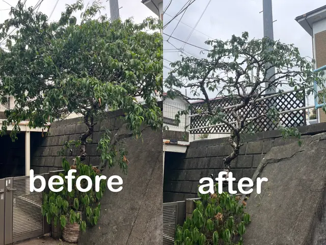 ご希望をお聞かせ下さい♪心を込めて丁寧に作業します！長年の経験で安心安全★サービスの画像