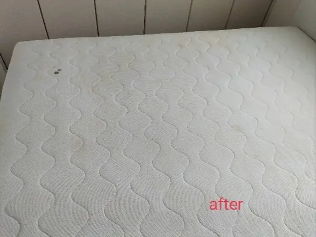 マットレス・ソファー等の専門クリーニング店です。サービスの画像