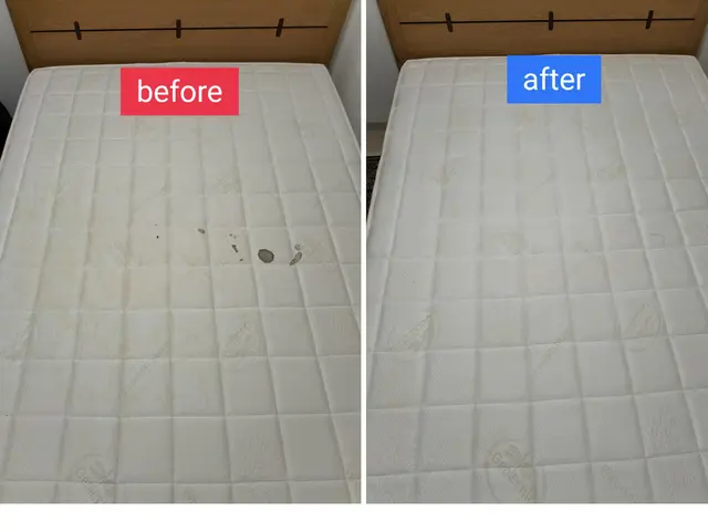 マットレス・ソファー等の専門クリーニング店です。サービスの画像