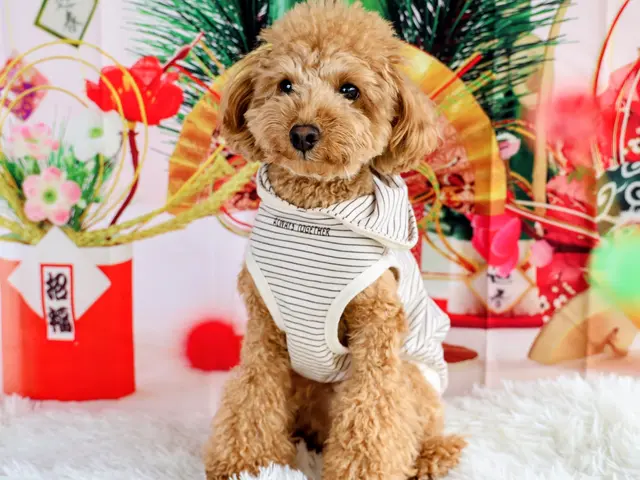 予約対応～撮影・納品まですべて対応します