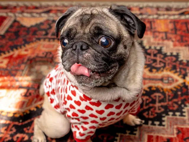 予約対応～撮影・納品まですべて対応します