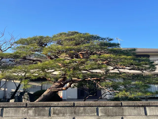 女性スタッフ同行可能！仕上がりにご不満の場合は無料で追加対応も行います◎サービスの画像