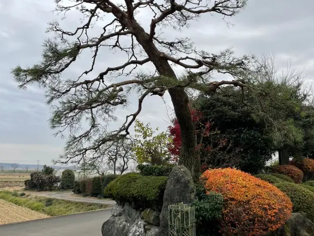 女性スタッフ同行可能！仕上がりにご不満の場合は無料で追加対応も行います◎サービスの画像