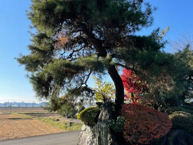 女性スタッフ同行可能！仕上がりにご不満の場合は無料で追加対応も行います◎サービスの画像