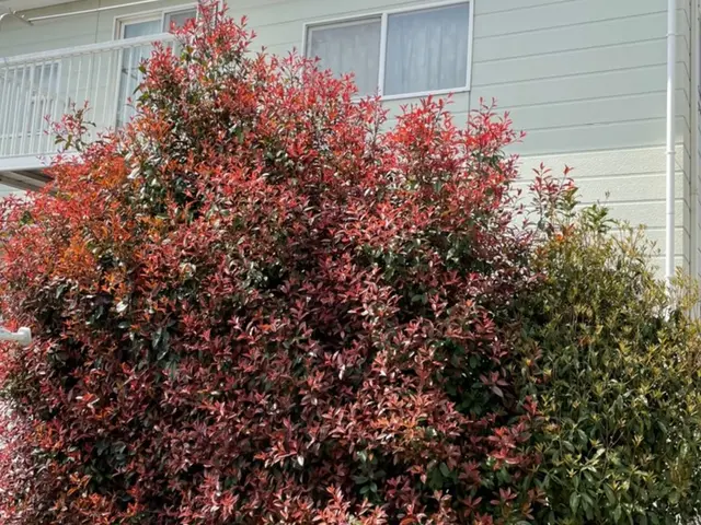 女性スタッフ同行可能！仕上がりにご不満の場合は無料で追加対応も行います◎サービスの画像