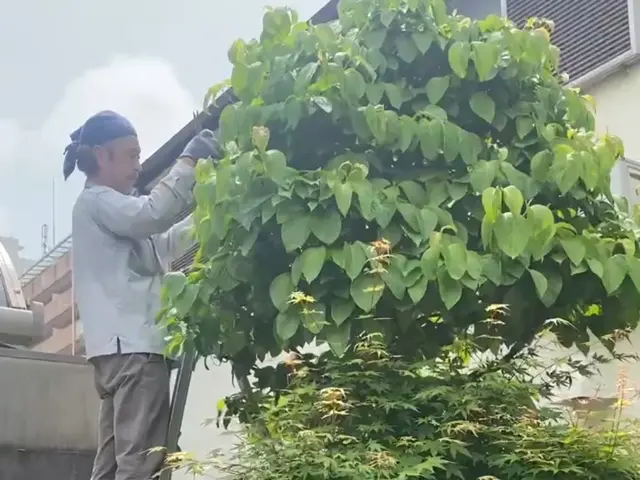 5月OPEN◆創業100年超の3代目店長が対応◎迅速・丁寧な対応の専門店です！サービスの画像