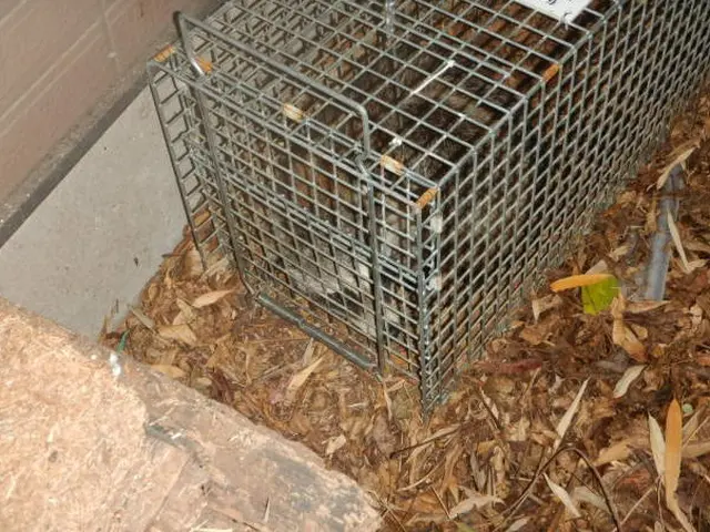 完全防除致します！お客様にも詳しく施工の流れを随時説明いたします【保証有】サービスの画像