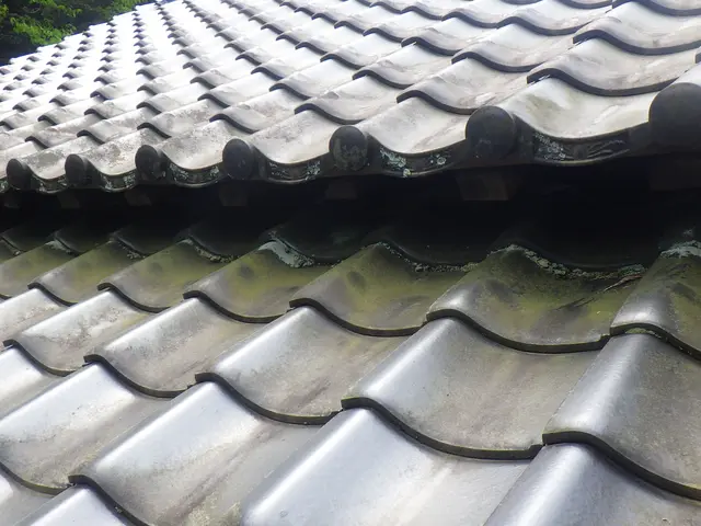 完全防除致します！お客様にも詳しく施工の流れを随時説明いたします【保証有】サービスの画像