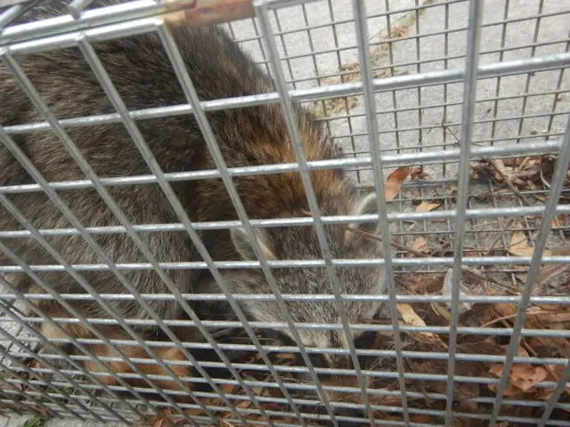 完全防除致します！お客様にも詳しく施工の流れを随時説明いたします【保証有】サービスの画像