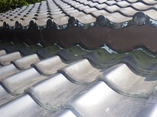 完全防除致します！お客様にも詳しく施工の流れを随時説明いたします【保証有】サービスの画像