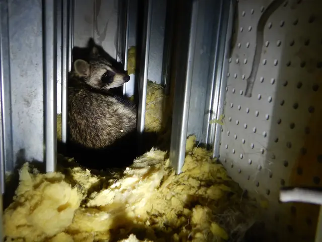 完全防除致します！お客様にも詳しく施工の流れを随時説明いたします【保証有】サービスの画像