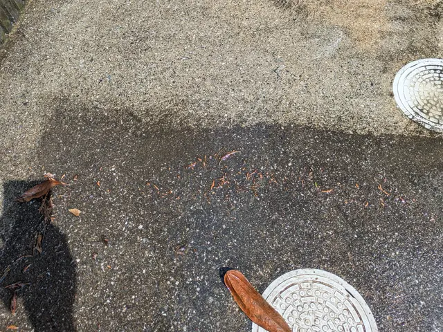 マキタ高圧洗浄機＆細部はブラッシング！窓サッシ網戸の外側も同時洗浄！鳩フン対応可サービスの画像