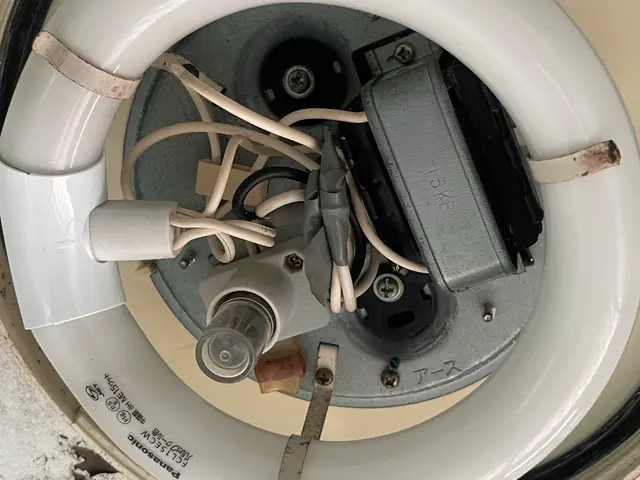 シーリング照明、電球の取り付けと取り外しサービスの画像