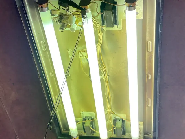 電球、シーリングの取り付けと取り外しサービスの画像