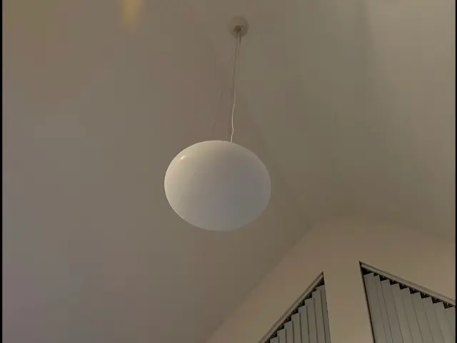 電球、シーリングの取り付けと取り外しサービスの画像