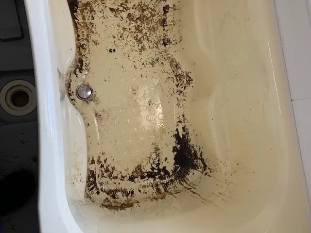 ★2025年1月開業店舗★ハウスクリーニングといえば㈱大手！！サービスの画像