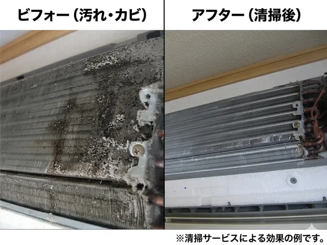 【徹底洗浄＆快適空間】大手仕込みの高品質クリーニングサービスの画像