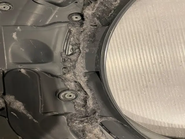 斜めドラム式洗濯乾燥機、分解洗浄致します。サービスの画像