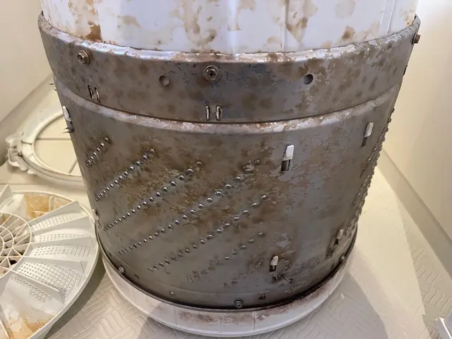 洗濯槽カビだらけ？縦型洗濯機分解清掃いたします！サービスの画像