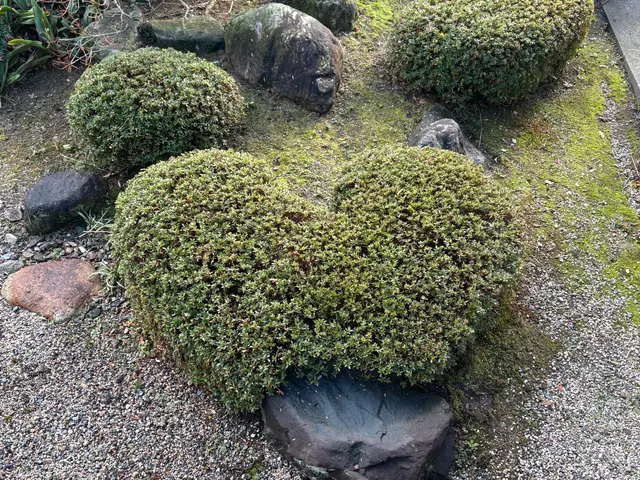 【四日市発】土木、造園施工管理技士の知識を活かし臨機応変に対応します。サービスの画像