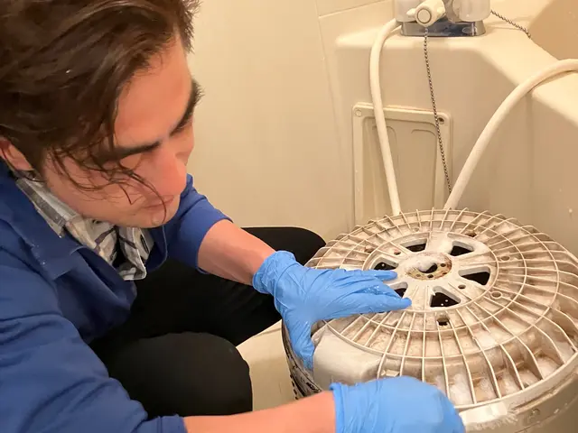 ◆ワカメ・ノリが服に着く！カビ臭くてイライラ！洗濯のストレスを高圧洗浄機で一掃！サービスの画像