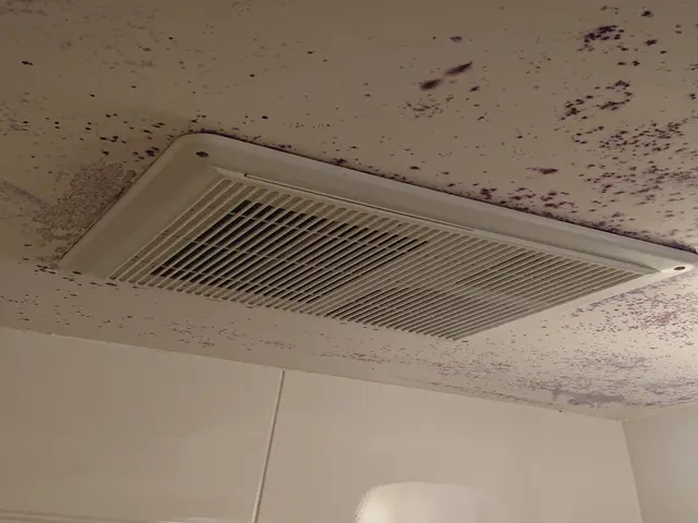 浴室換気扇交換サービスの画像