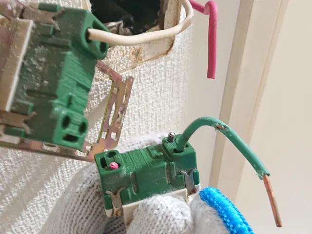 登録電気工事店○狭山市よりお伺い致します。保険加入済み！ワンコ同伴可サービスの画像