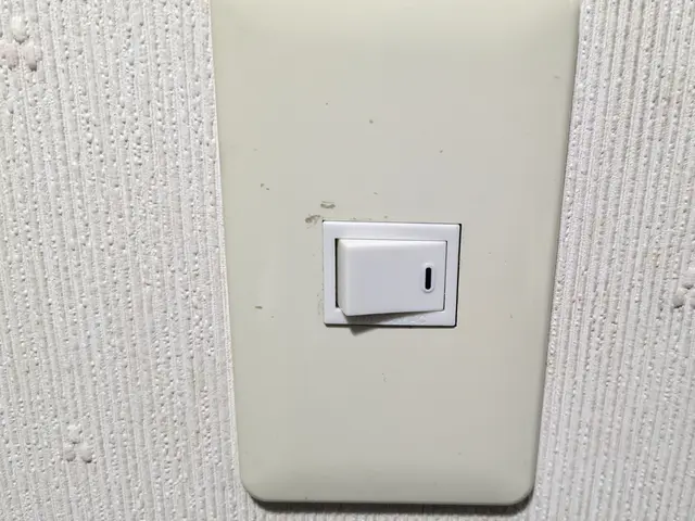 登録電気工事店○狭山市よりお伺い致します。保険加入済み！ワンコ同伴可サービスの画像