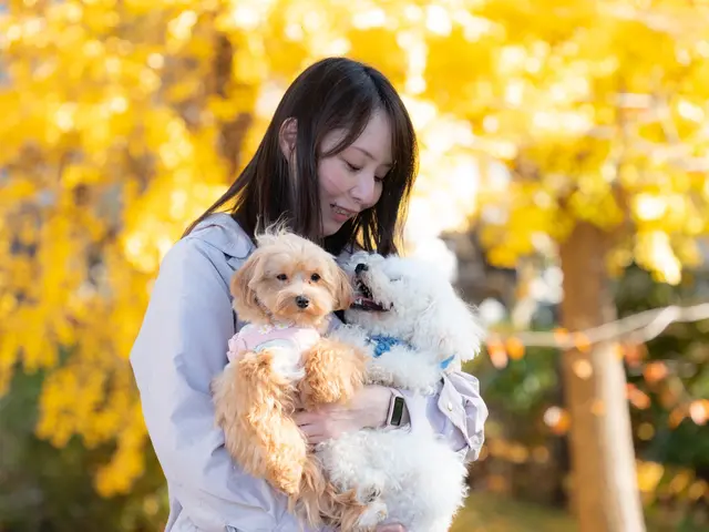 開店記念価格！ペットと飼い主さんの物語を永遠に！同じ目線で切り取る自然体写真撮影