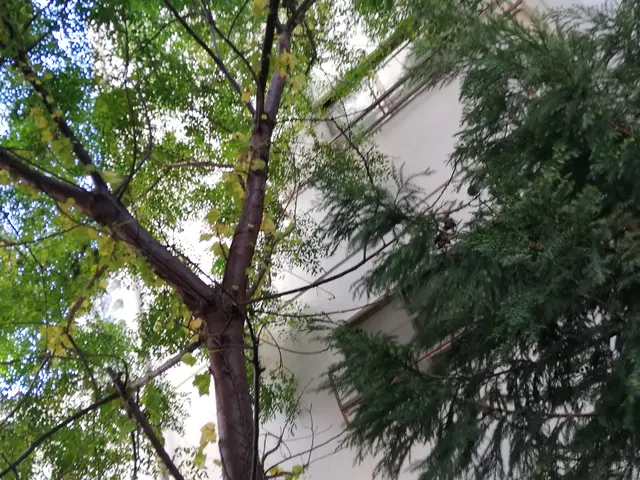 【年中無休で伺います！】作業外注なし◎駐車場代お店負担♪対応地域外も相談可能◎サービスの画像