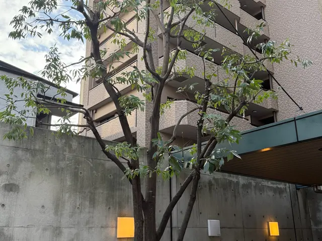 【まとめて割引あり】最短当日、土日祝対応◆作業後の追加料金なし◆高いリピート率サービスの画像