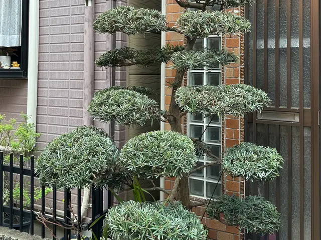 【まとめて割引あり】最短当日、土日祝対応◆作業後の追加料金なし◆高いリピート率サービスの画像